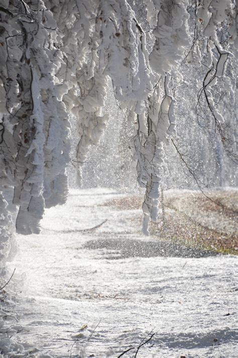 bildet sno hvit frost dannelse  arstid estetisk geologi