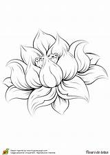 Lotus Drawing Flower Tattoo Fleur Dessin Realistic Outline Drawings Tattoos Realiste Coloriage Hugolescargot Depuis Coloring Designs Enregistrée Tats Sur Getdrawings sketch template