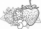 Frutti Bosco Prato Pano Kolorowanka Fruits Druku Owoce Riscos Kolorowanki Truskawki Winogrono Yayimages Petits Book Parati Pixers Peint Planetadziecka Frutta sketch template