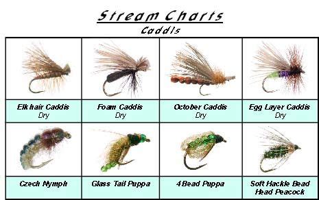 fishingfliesidentification stream charts     water fly fishing guide