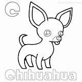 Chiwawa Chihuahua Getcolorings Colorings Coloringfolder sketch template