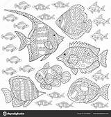 Tropische Vissen Kleuren Tekening Verzameling Volwassen Vectorillustratie Freehand Schets Stockillustratie Sybirko sketch template
