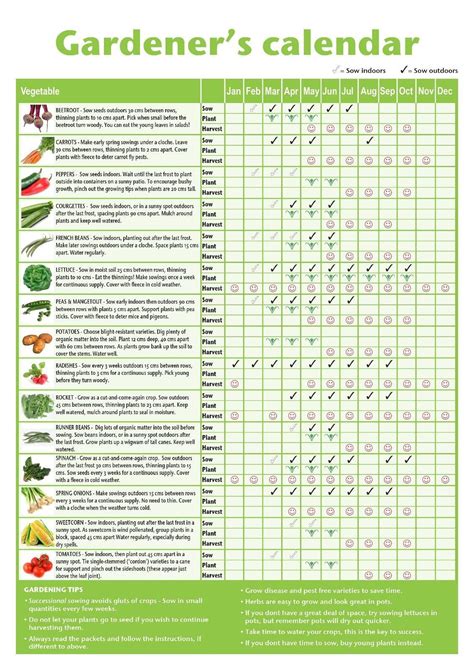 arizona vegetable gardening calendar