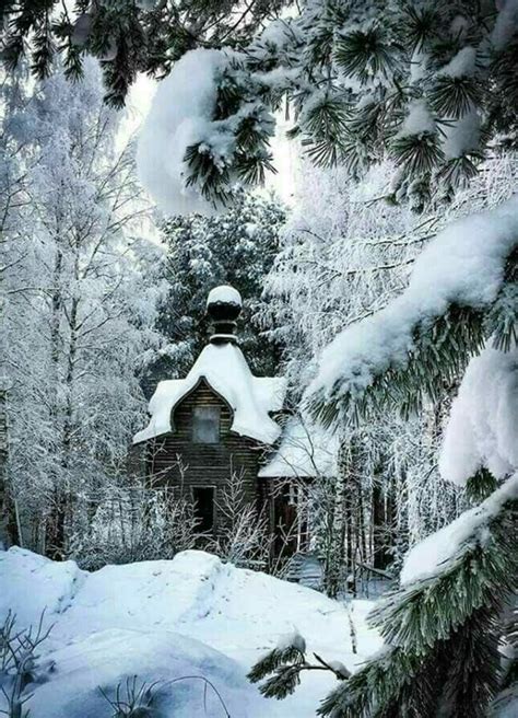 pin by shash on winter wonder lands winter pictures