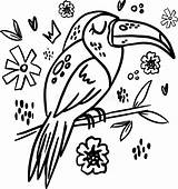 Scandinavian Rainforest Toucan sketch template