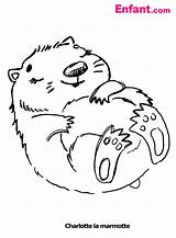 Marmotte Coloriages Marmota Gratuit Dort Colorier Groundhog Largement Archivioclerici Danieguto Fia sketch template