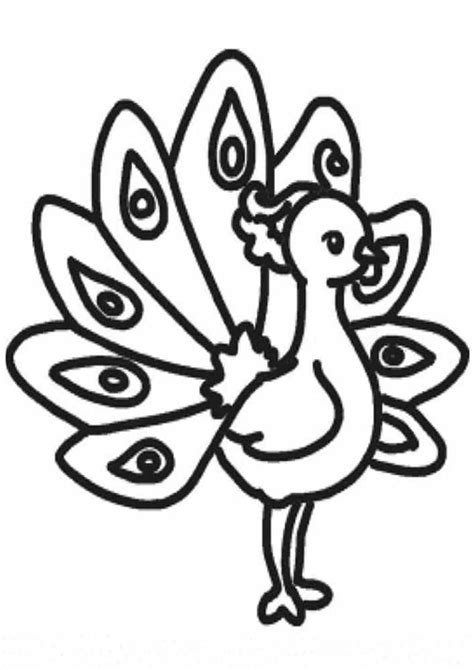 easy  print peacock coloring pages tulamama