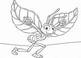 Bichos Miniatura Colorear Bug Bugs Inseto Pattes 1001 Disneydibujos sketch template