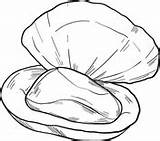Mussel Mussels sketch template