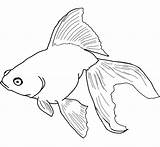 Goldfish Coloring Pages Printable Kids sketch template