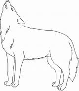 Loup Lobo Lupi Loups Colorier Recherche Wolves Mescoloriages Magique Daze Websincloud Primiiani Afkomstig sketch template