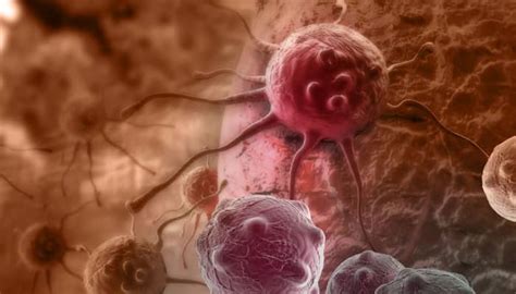 scientists      find cure  cancer diseases