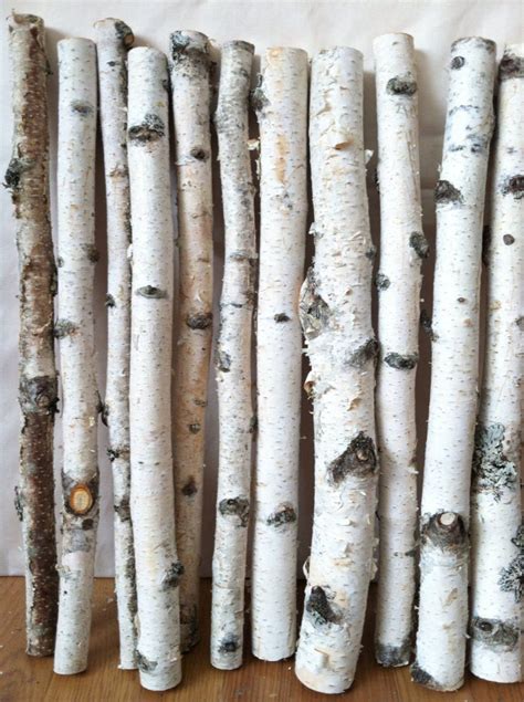 white birch logs etsy birch tree decor birch logs birch craft