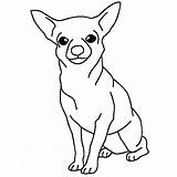 Chihuahua Coloring Dog Pages Posing Netart Hond Kleurplaat Sombrero Sitting Nl Kleurplaten sketch template