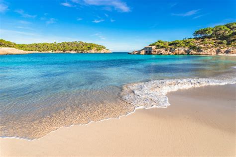 picturesque beach mallorca island beautiful seaside bay  cala samarador spain mediterranean