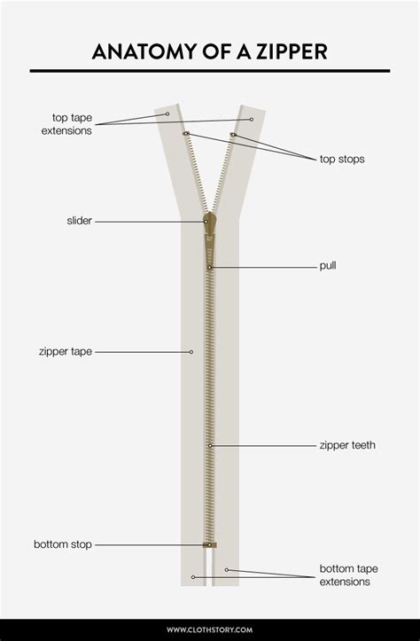 anatomy   zipper printable chart cloth story sewing hacks zipper