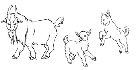 baby goat drawing  getdrawings