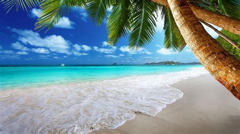beach  wallpaper android apps  google play