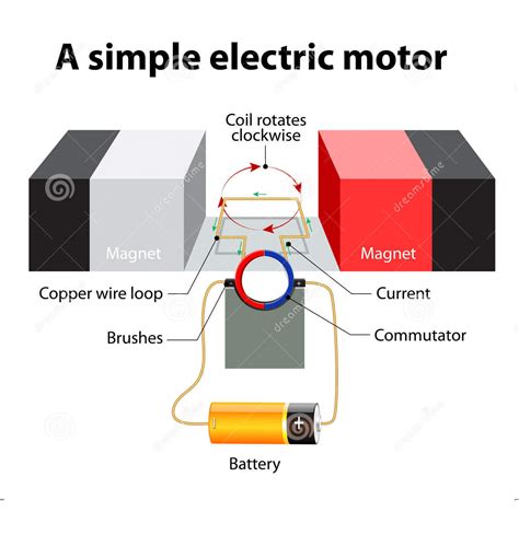 electric motors science quiz quizizz