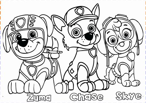 volny tlac paw patrol omalovanky patrulha canina desenho pintura