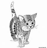 Mandala Coloriage Chaton Chatons Colorier Gratuitement sketch template