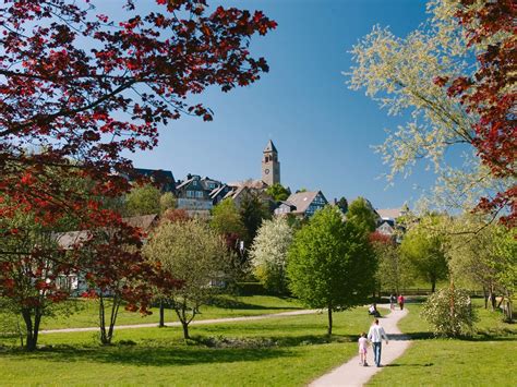 rundweg um schmallenberg  wanderung wandern im schmallenberger