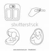 Womb Coloring Designlooter Pregnancy Scales Outline Icons Test Child Collection Set Style sketch template