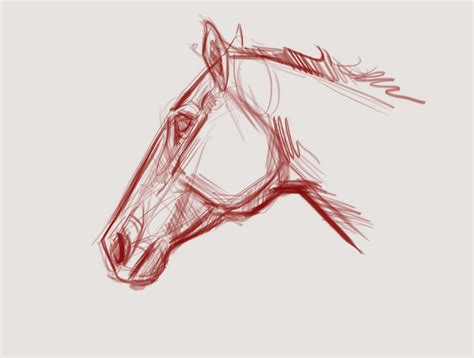 joe weatherly fine art horse drawing demos  diagrams