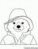 Paddington Urso Orso Ours Oso Kolorowanki Bär Miś Bonne Buona Misia Aventuras Malvorlagen Kolorowanka Colorkid Colorier Przygody Coloriages Ludinet Aventures sketch template