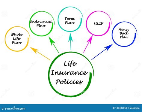 life insurance policies stock illustration illustration  insurance