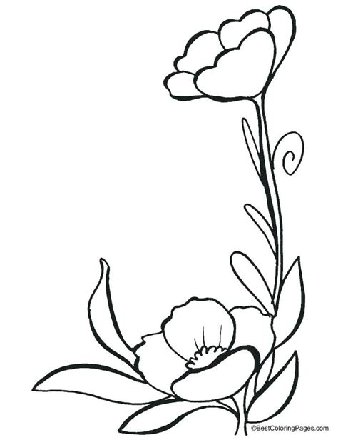poppy flower coloring pages page flowers  kids cars poppy
