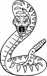 Rattlesnake Diamondback Schlange Ausmalen Ausmalbild Schlangen Snakes Serpiente Serpent Cobras Poisonous Coloringbay Clipartmag Paradibujar Färben Zeichnen Puntillismo Serpientes Educative sketch template