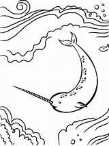 Narwhal Coloring Pages Drawing Line Sea Under Printable Narwhale Print Doodle Color Everfreecoloring Getdrawings Collection Paintingvalley Getcolorings Xcolorings sketch template