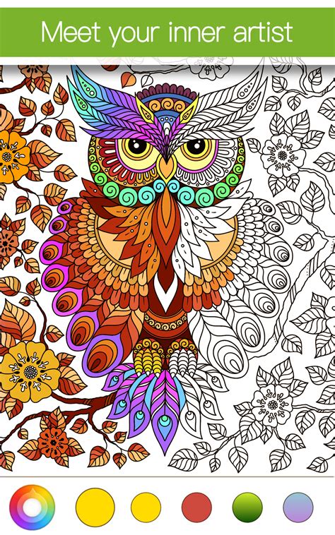 coloring book app  adults android home family style