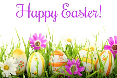 happy easter   fans happy easter   fans photo