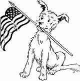 Veterans Coloring Pages Flag Dog Printable Preschool Kindergarten Color Getdrawings Happy Getcolorings Drawing Thanks Print Colorings sketch template