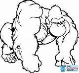 Coloring Silverback Gorilla sketch template