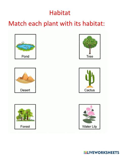 plant habitat worksheet  worksheets