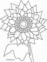 Coloring Sunflower Printable Pages Sheet Leehansen sketch template