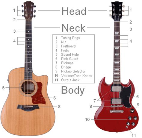 parts   guitar clearest guitar parts diagram lesson