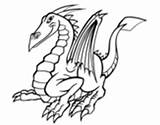 Drago Draghi Marino Acolore Dragones Visitados sketch template