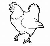 Galinha Hen sketch template