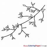 Coloring Pages Branch Spring Sheet Title Coloringpagesfree sketch template