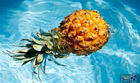 تعرف علي معلومات غريبة مرتبطة بالجنس الفموي pineapple pineapple float pinapple juice
