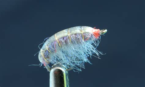 effective scud pattern fly fish food fly tying  fly fishing