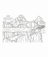 Zulily Coloring National Parks Book Books sketch template