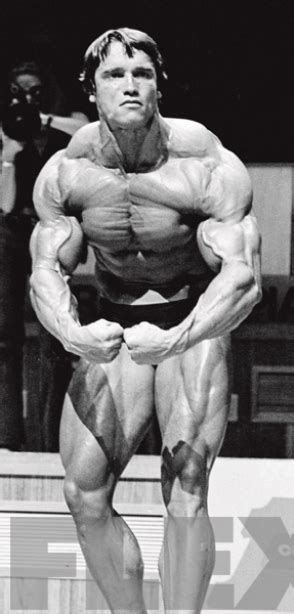 rare photos of the legend arnold schwarzenegger muscle