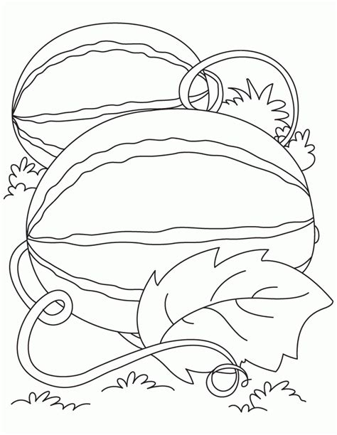 watermelon coloring pages  coloring pages  kids fruit