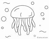 Qualle Artus Malvorlagen Jellyfish sketch template