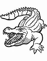 Crocodile Coloring Pages Open Mouth Crocodiles Supercoloring Reptiles Krokodil Drawing Alligator Angry Printable Worksheets Kids Alligators Parentune Illustration Popular Choose sketch template